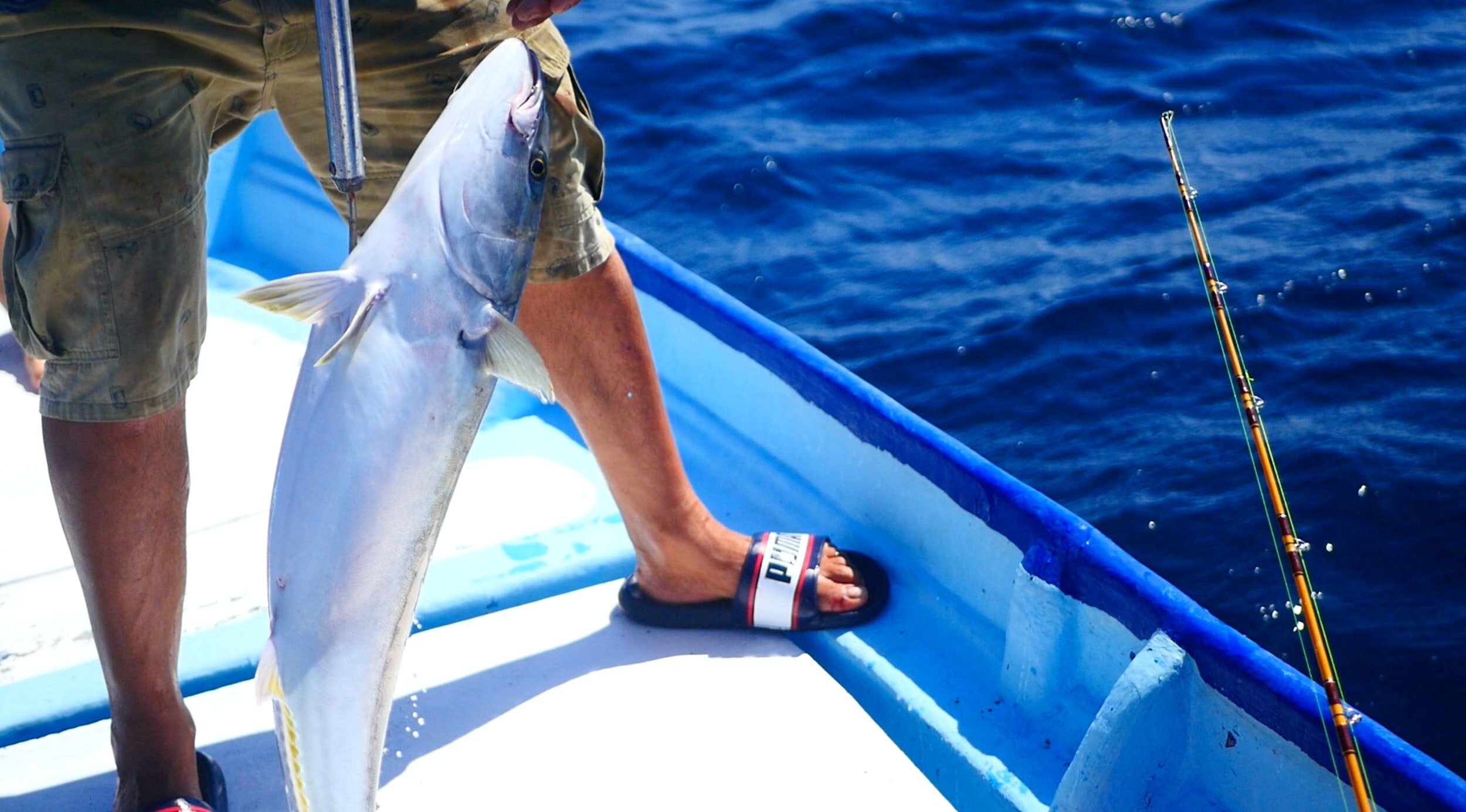Fishing Trip: Full Day