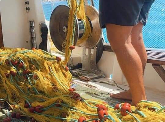 Fishing Trip: Full Day