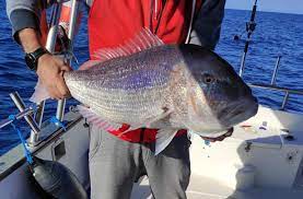 Fishing Trip: Full Day