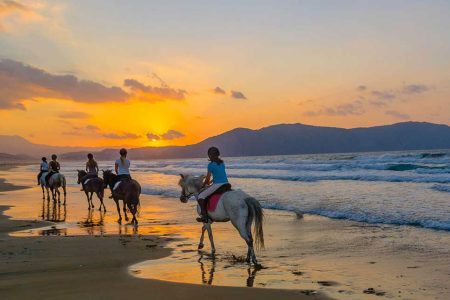 Horse Riding Excursion 