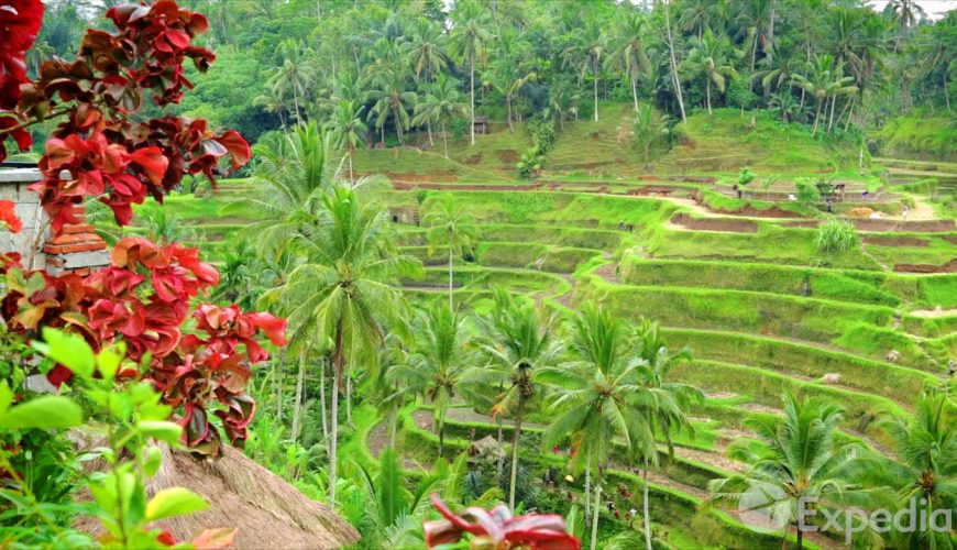 Bali Video Travel Guide | Expedia Asia